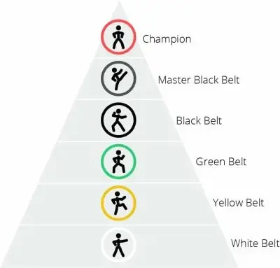 Six Sigma feature image