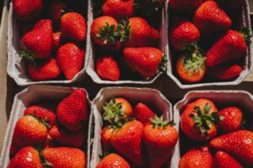 Strawberries lined up in containers