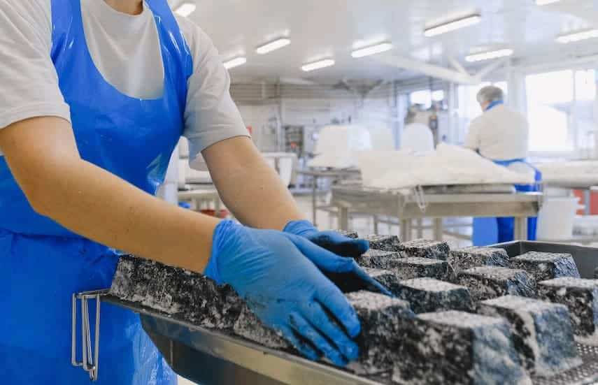 Person wearing blue gloves improves manufacturing process using special techniques