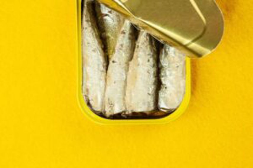 An open can of sardines on a yellow background